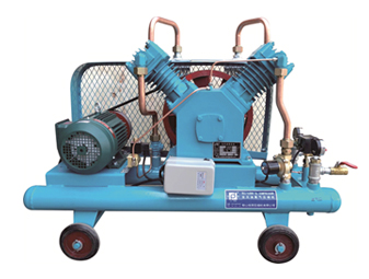 傳統(tǒng)型全無(wú)油氣體增壓機(jī)